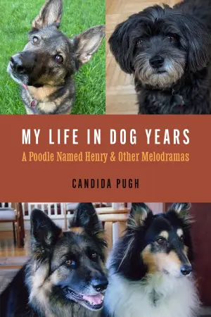 Book 1178