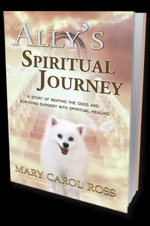 Book 1211