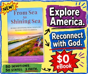 Book 3129